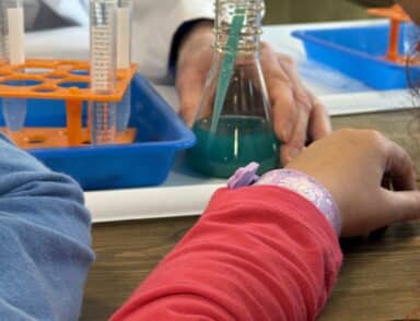 An immersive day of hands-on science