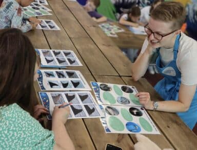 New Tickets, Same Great Experiences!