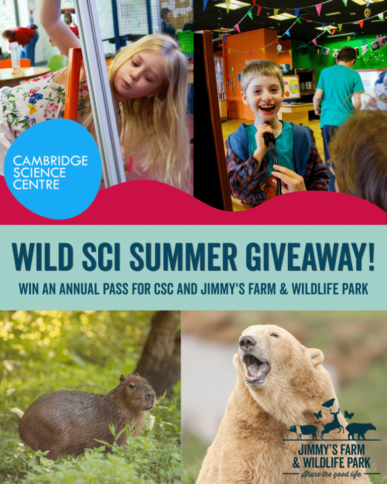 Artwork advertising the competition with photos of children at the science centre, matching animal's expressions from the wildlife park