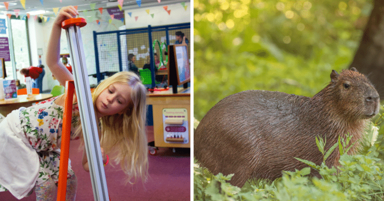 Left, a girl tries out an experiment; right