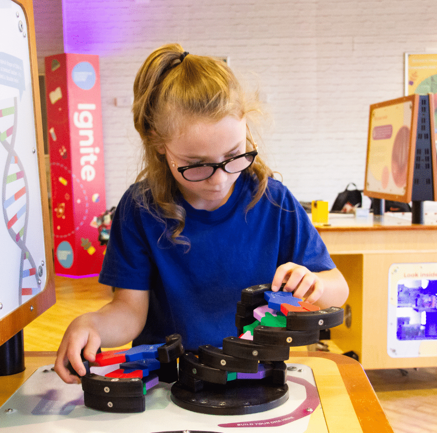 With great focus, a girl in glasses puts together a DNA model - an exhibit at Cambridge Science Centre in Wisbech