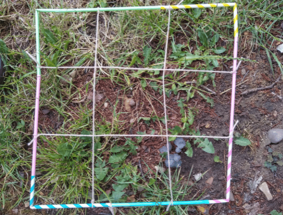 A quardrat made of paper straws on grass in a garden